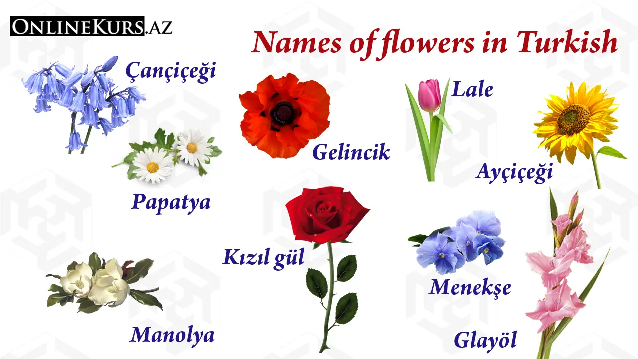 Flower names in Turkish