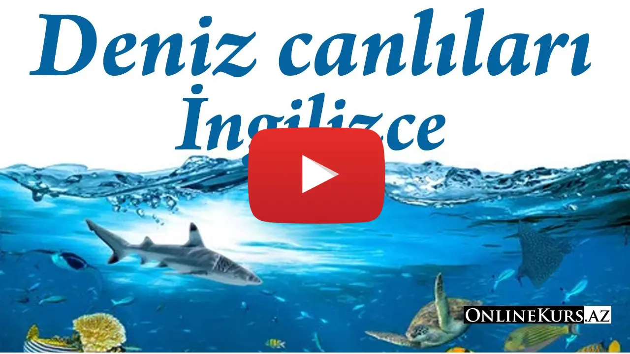 Balıklar İngilizce