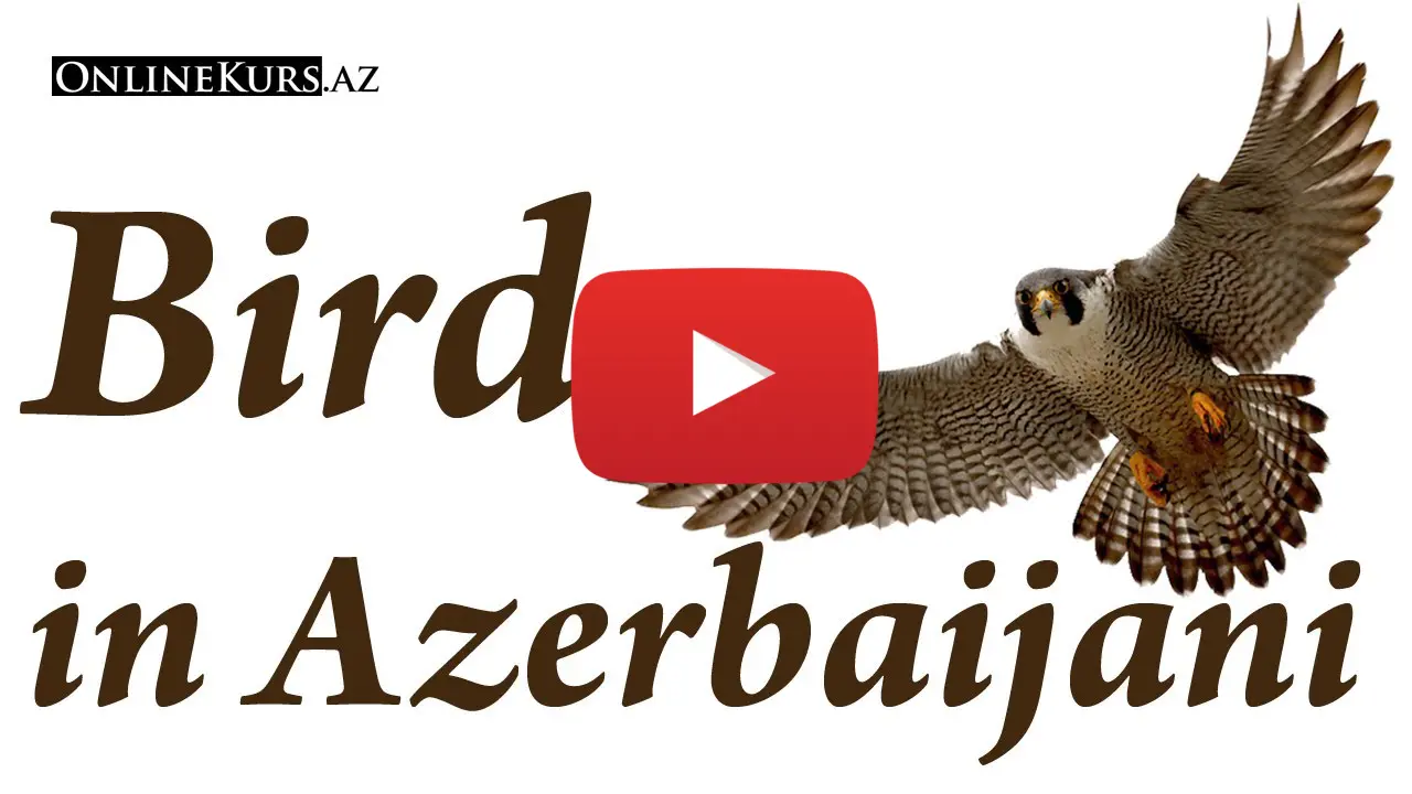 Names of birds in the Azerbaijani language