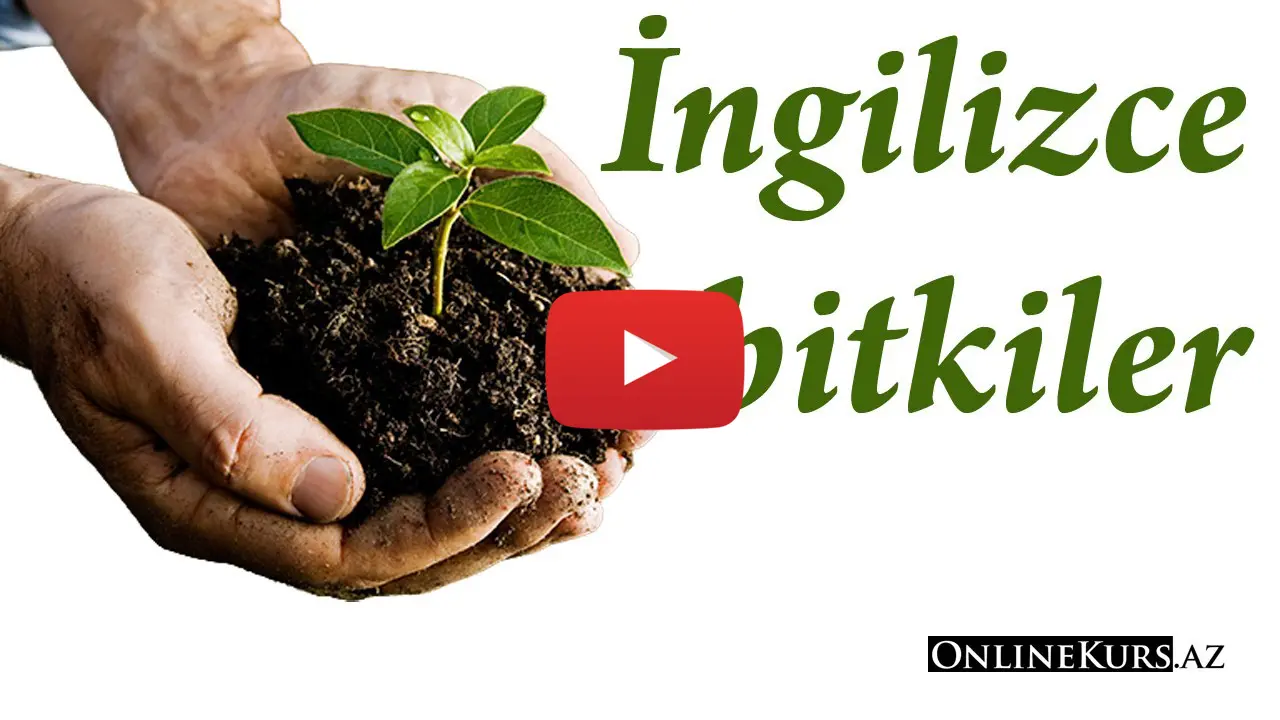 İngilizce bitki isimleri