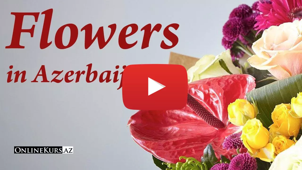 Names of flowers in Azeri