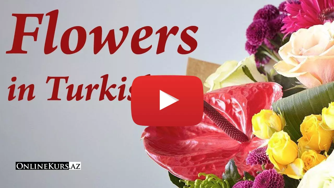 Names of flowers in Turkish