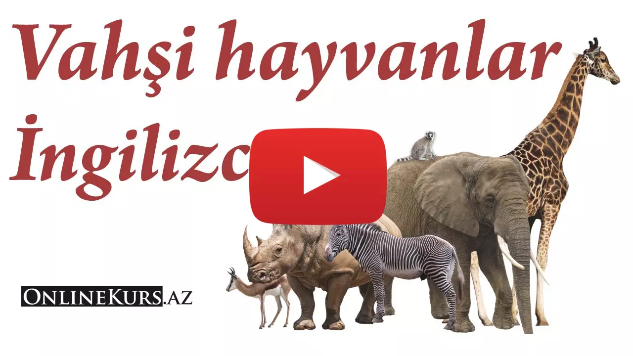 Hayvanlar İngilizce