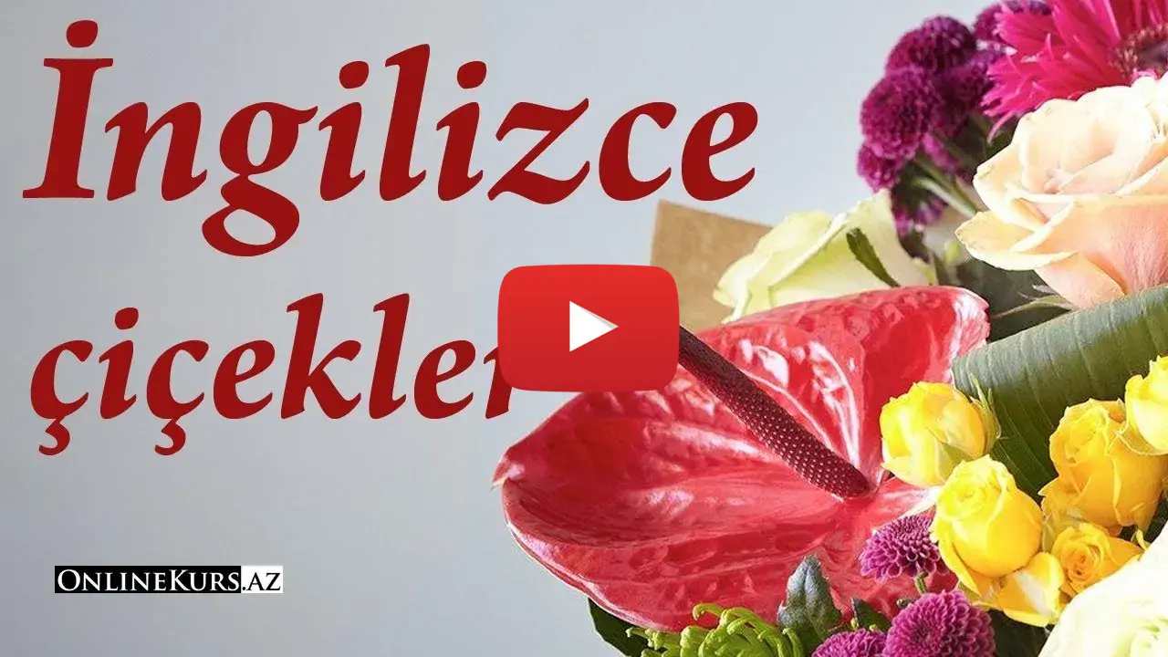 İngilizce çiçek isimleri