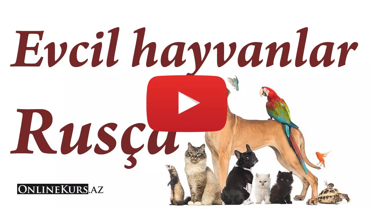 Rusça çiftlik hayvanları